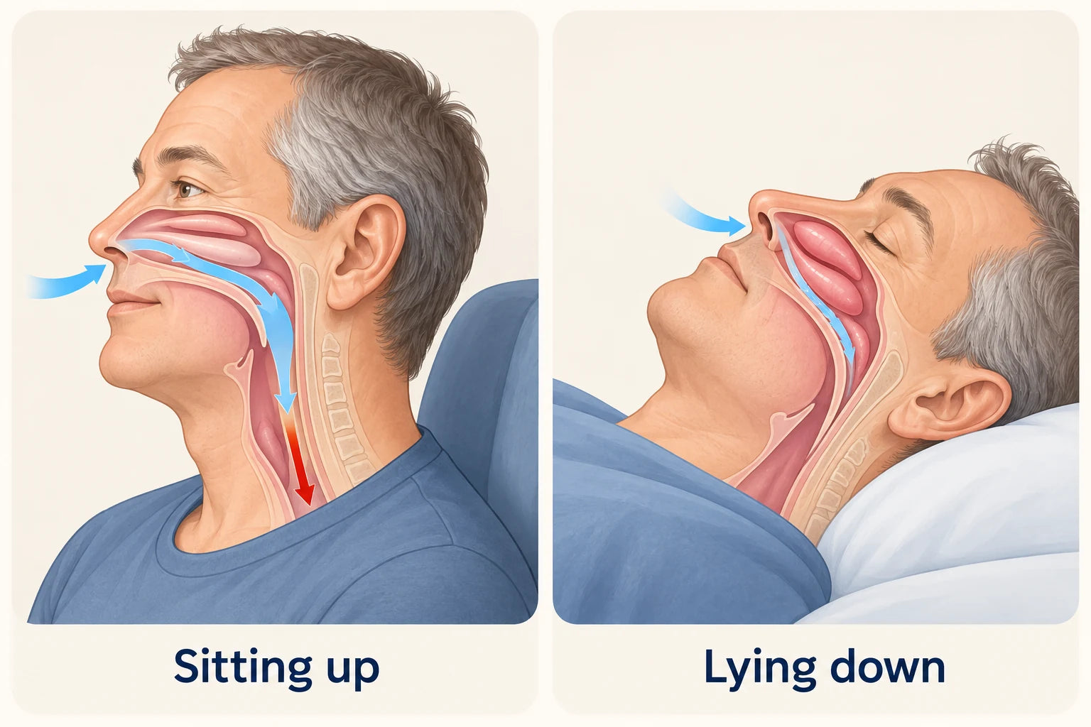 Sitting up vs lying down